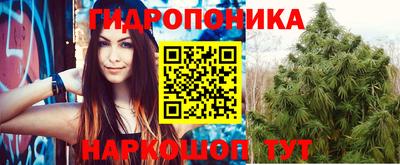 гашик Балаково