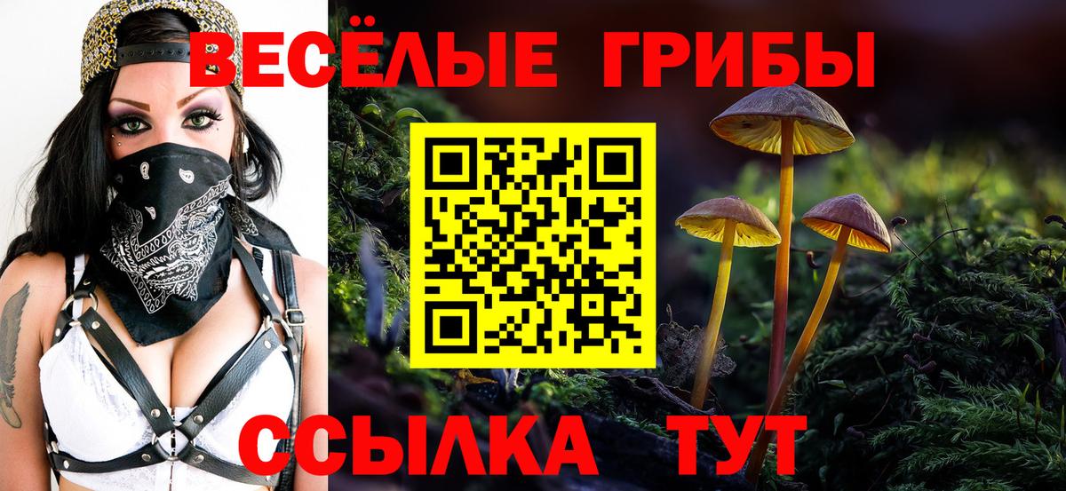 купить   Галлюциногенные грибы мухоморы  Вход с VPN  Всеволожск  Галлюциногенные грибы ЛСД 